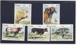 CUBA 1984 BOVINS   YVERT N°2570/74  NEUF MNH** - Farm