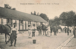CAMPS DE CHALONS : 6° ESCADRON DU TRAIN - LE PANSAGE - Camp De Châlons - Mourmelon