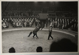 Circus - Cirque // Carte Photo - RPPC To Identify, Prob. Belgie No. 3. // Horse Act 2.19?? - Circo