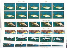 Sealand Animals Fish Set, Imperforated Minisheets Of 10, Mint Never Hinged - Pesci