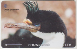 FALKLAND ISLANDS - King Cormorant , CN:229CFKA, Normal Zero: "0", 10 £,tirage 60.000, Used - Falkland Islands