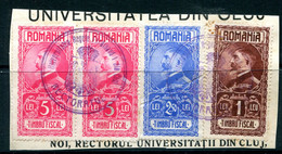 Romania Revenue Piece - Revenue Stamps