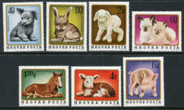 HUNGARY 1974 Young Domestic Animals MNH / **.  Michel 3007-13 - Unused Stamps