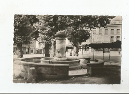 MONTIVILLIERS 18 CARTE PHOTO LA FONTAINE EDIFIEE AU XVI E SIECLE (BOUCHERIE DRIEU ) - Montivilliers