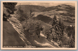 Oberstaufen - S/w Aus Des Tales Dunklen Schatten Zu Sonnigen Höhen 1   Allgäuer Alpen - Oberstaufen