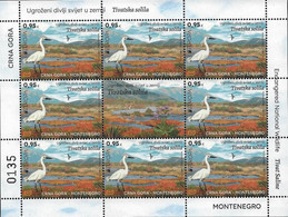 MONTENEGRO /CRNA GORA  -EUROPA 2021 -ENDANGERED NATIONAL WILDLIFE"- ONE SHEET Of 8 STAMPS + LABEL MINT - 2021