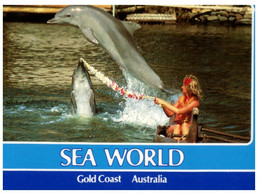 (SS 8) Australia - QLD - Gold Cost Sea World Dolphin Show - Dauphins