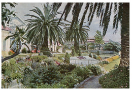 (SS 8) Australia - NSW - Sydney - AWA Gardens (Parramatta Road Near Ashfield) - Sydney