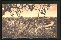 AK Lütjenburg I. Holstein, Blick Vom Vogelberg Auf Den Ort - Luetjenburg