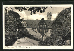 AK Glauchau I. Sa., Sicht Auf Den Schlosseingang - Glauchau