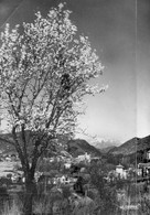 04-  DIGNE LES BAINS- VUE SUR LA VILLE PRISE DE LA ROUTE DE NICE - Digne