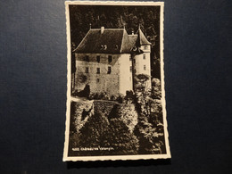 Château De Valangin (3955) - Valangin