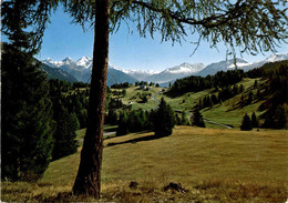 Lenzerheide - Blick Auf Sporz-Davains Mit Bergünerstöcken (7323) * 28. 7. 1974 - Bergün/Bravuogn