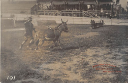 CPA 13 MARSEILLE CARTE PHOTO CONCOURS HIPPIQUE 1908 (photo Fontaine D'albert - Sin Clasificación