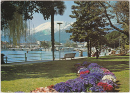 LOCARNO MURALTO LAGO MAGGIORE - Muralto