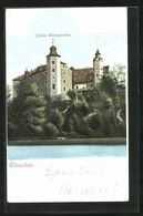 AK Glauchau, Blick Auf Das Schloss Hinterglauchau - Glauchau