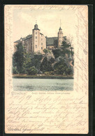 AK Glauchau I. Sa., Blick Auf Das Schloss Hinterglauchau - Glauchau