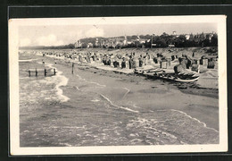 AK Zinnowitz, Strandkörbe Am Ostseeufer - Zinnowitz