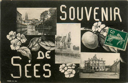 Sées * Souvenir De La Commune * Multivues - Sees