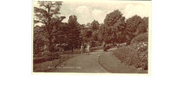 Royaume-Uni - Pays De Galles - Belle Vue Newport - Monmouthshire