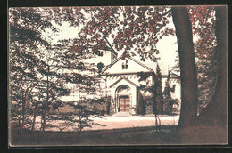 AK Friedrichsruh, Vor Dem Mausoleum - Friedrichsruh