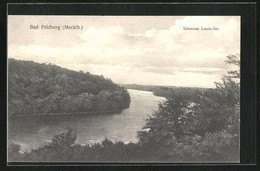 AK Bad Feldberg / Mecklbg., Schmaler Luzin-See Aus Der Vogelschau - Feldberg