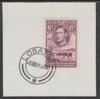 Bechuanaland 1938 KG6 Cattle 6d On Piece Cancelled With Madame Joseph Forged Postmark Type 57 - 1885-1895 Kronenkolonie