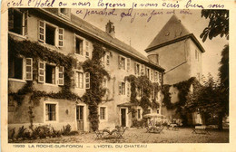 La Roche Sur Foron * Hôtel Du Château * Le Jardin - La Roche-sur-Foron