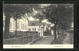 AK Kellinghusen, Häuser An Der Lindenstrasse - Kellinghusen