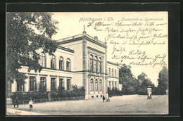 AK Mühlhausen I. Th., Lindenbühl Mit Gymnasium - Muehlhausen