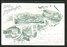 Vorläufer-Lithographie St. Andreasberg, 1894, Hotel Rathaus, Gasthaus Schluft, Ortsansicht - St. Andreasberg