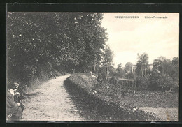 AK Kellinghusen, Blick Auf Die Lieth-Promenade - Kellinghusen