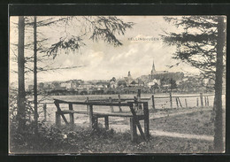 AK Kellinghusen, Schöne Aussicht Auf Den Ort - Kellinghusen