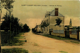 St Florent Des Bois * Route De L'entrée Du Bourg * Cpa Toilée Colorisée - Saint Florent Des Bois