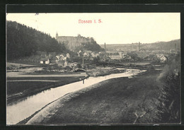 AK Nossen I. S., Ortsansicht Mit Wasserpartie - Nossen