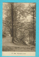 * Spa (Liège - Luik) * (Photo Belge Lumière Rhode St Genese, Nr 113) Montagnes Russes, Bois, Bos, Old, Rare - Saint-Vith - Sankt Vith