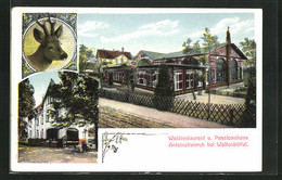 AK Wolfenbüttel, Waldrestaurant Und Pensionshaus Antoinettenruh, Mehrfachansicht - Wolfenbüttel