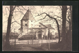 AK Friedrichsruh, Blick Zum Mausoleum - Friedrichsruh