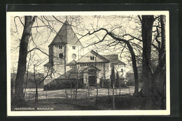 AK Friedrichsruh, Partie Am Mausoleum - Friedrichsruh