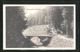 AK Malente-Gremsmühlen, Waldpartie Mit Brücke über Die Eisenbahnschienen - Malente-Gremsmuehlen