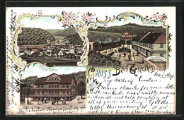 Lithographie Bad Grund / Harz, Hotel Und Villa Tönnies, Ortsansicht - Bad Grund