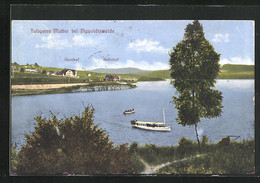 AK Dippoldiswalde, Talsperre Malter, Dampfer Auf Dem See, Blick Auf Bahnhof Und Gasthof - Dippoldiswalde