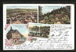 Lithographie St. Andreasberg / Harz, Kaiserl. Postamt Mit Denkmal, Teichanlagen, Rehberger Grabenhaus - St. Andreasberg