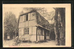 AK Bissendorf, Rückseite Vom Naturfreundeheim - Bissendorf