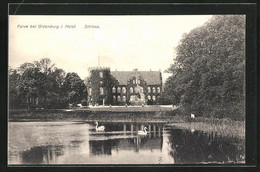 AK Farve Bei Oldenburg I. Holst., Blick Zum Schloss - Oldenburg (Holstein)