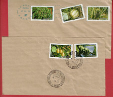 2012 -  Carnet Timbres Autocollants "Flore Et Fruits De France Et Du Monde" N° 686/687/690/693/694 - Sur Fragment - Cartas & Documentos