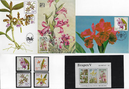 Brazil 1980 / 1982 Stamp C-1162/1165 Souvenir Sheet 51 And 3 Postal Maximums Brazilian Orchids Flower - Cartes-maximum