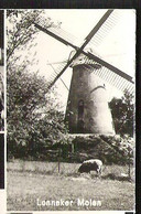 ENSCHEDE Groeten Uit 5-luik Met De Lonneker Molen 1971  Moulin Mill - Enschede
