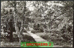 HOLTEN Holterberg Wandelpaadje 1966 - Holten