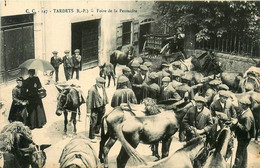 Tardets * La Foire Aux Chevaux De La Pentecôte * Marché Marchands * Cheval - Autres & Non Classés